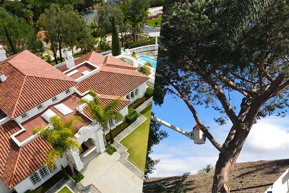 Aerial shot of a large estate with landscaping services and tree care services performed in Rancho Santa Fe, CA.