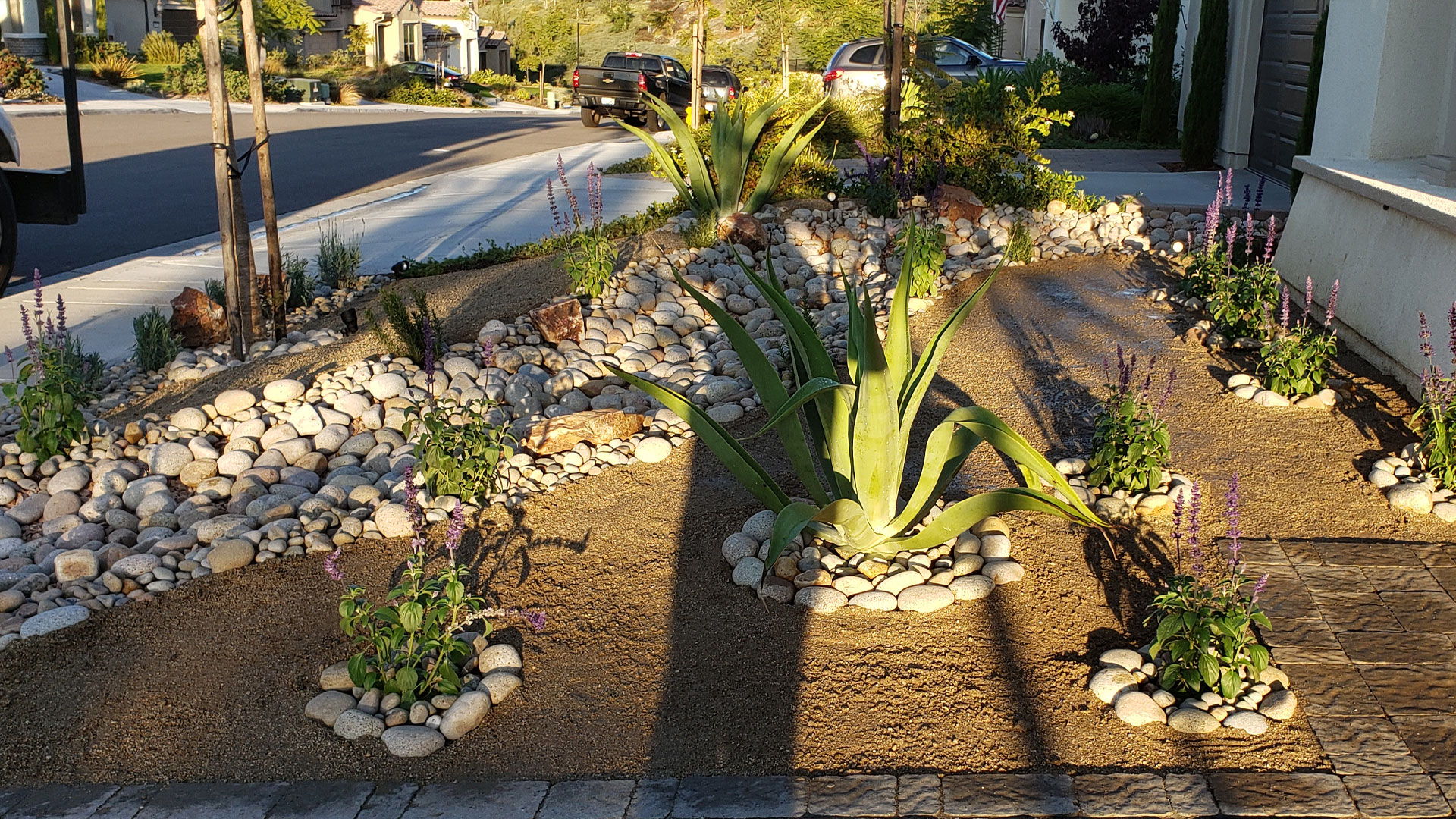 Landscape renovation at home in Rancho Santa Fe, CA.