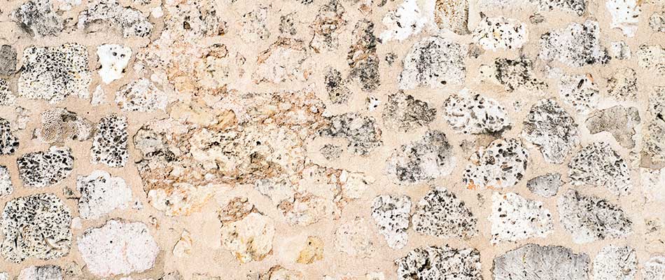 Coral stone texture up close in Encinitas, CA.