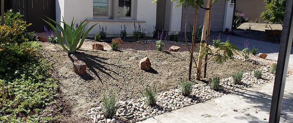 Xeriscaping project being completed at a home in San Marcos, CA.