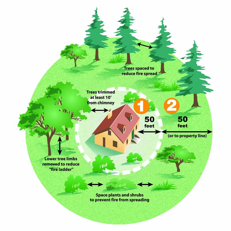 Fire abatement defensible space infographic