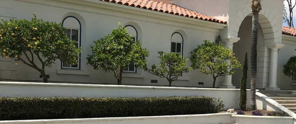 Fruit trees and a small hedge recently trimmed at a large residential estate in Encinitas, CA.