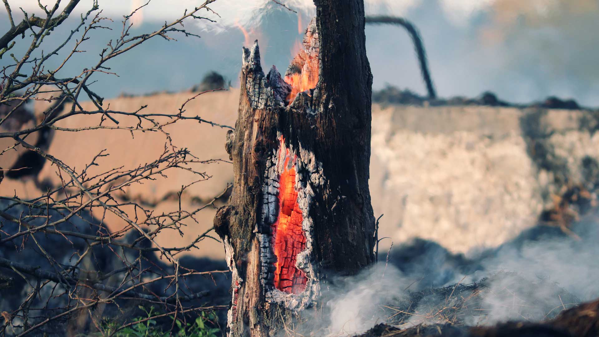 A tree stump burning after a wildfire in San Diego County, California.