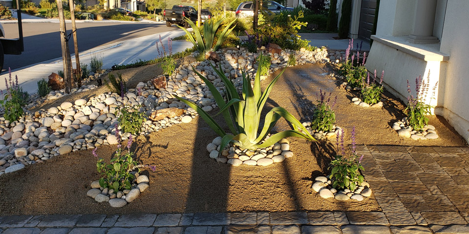 Custom xeriscape landscape installation in Encinitas, CA.